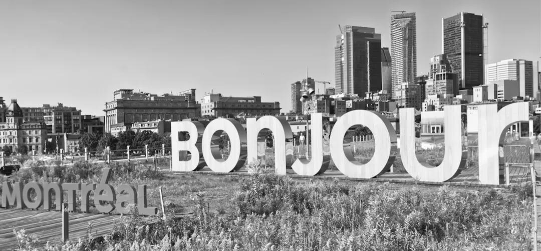 Borotou