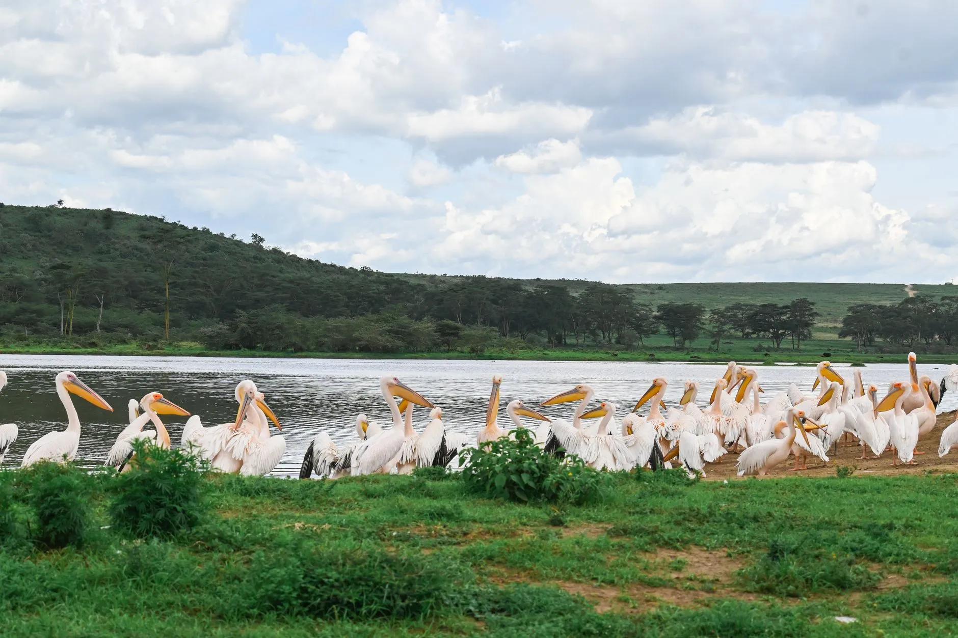 Nakuru